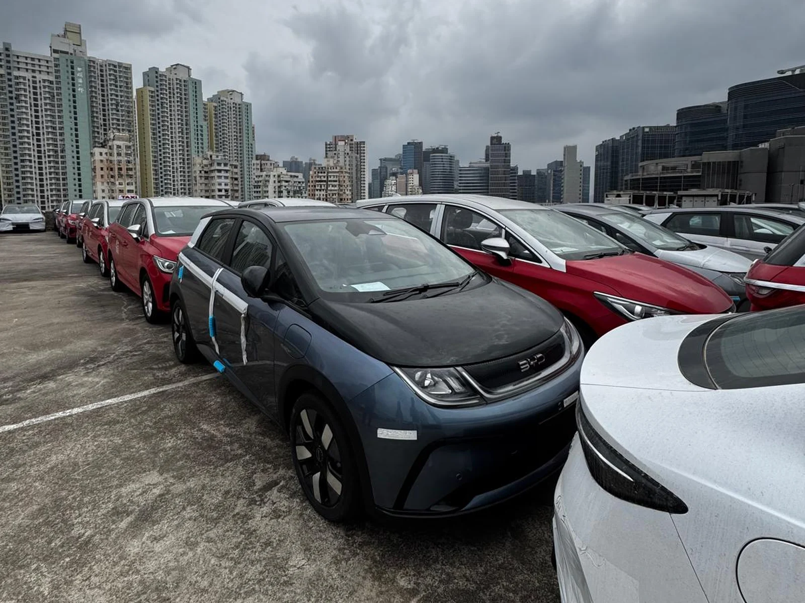 BYD electric vehicles parked in rows at a vehicle yard